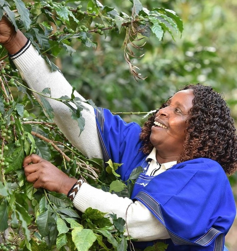 Make a song and dance about Tonbridge's first Fairtrade Fortnight